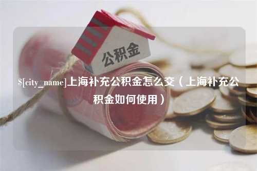 玉林上海补充公积金怎么交（上海补充公积金如何使用）